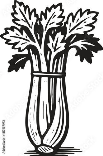Linocut style illustration of fresh celery stalks for natural food branding, packaging, and label artwork