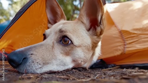 Yllar Hendla Nordic Moonlight nordicstocks