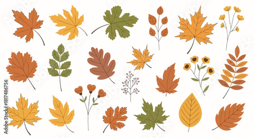 A collection of colorful autumn leaves and small flowers, representing the beauty of the fall season.