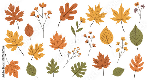 A collection of various autumn leaves and small floral elements in different shapes and fall colors like orange, yellow, brown, and green, isolated on a white background.