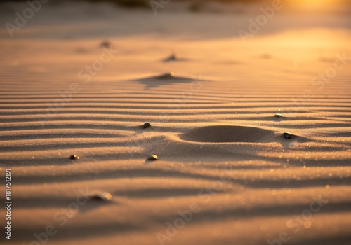 Fototapeta Naklejka Na Ścianę i Meble -  Golden hour at the arid terrain with wind sculpted sand dunes backdrop
