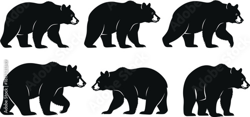 Collection of black bear silhouettes in various walking poses, detailed wildlife animal illustrations perfect for nature themes, forest graphics and outdoor designs