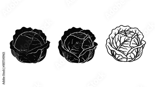 Vector illustration of set of three cabbage illustrations in black and white outline and solid styles isolated on transparent background 