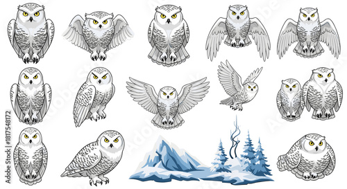 Collection of snowy owls in various poses with winter landscape illustration on a white background