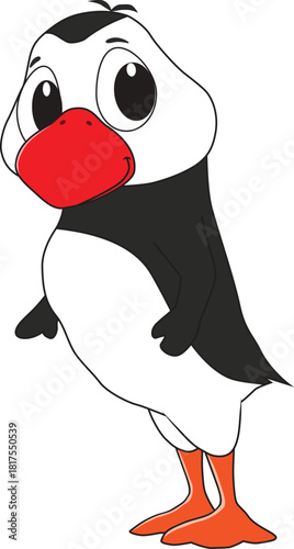 A funny puffin bird is walking cheerfully