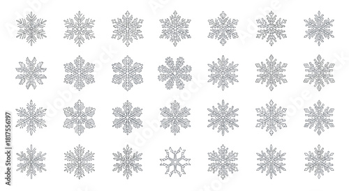 Collection of twenty four detailed snowflake illustrations arranged in a rectangular grid pattern