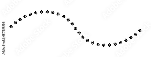 Winding track of wet or mud paw prints of dog or cat. Path with footprint silhouettes. Steps of running or walking wild animal or pet isolated on white background. Vector graphic illustration.