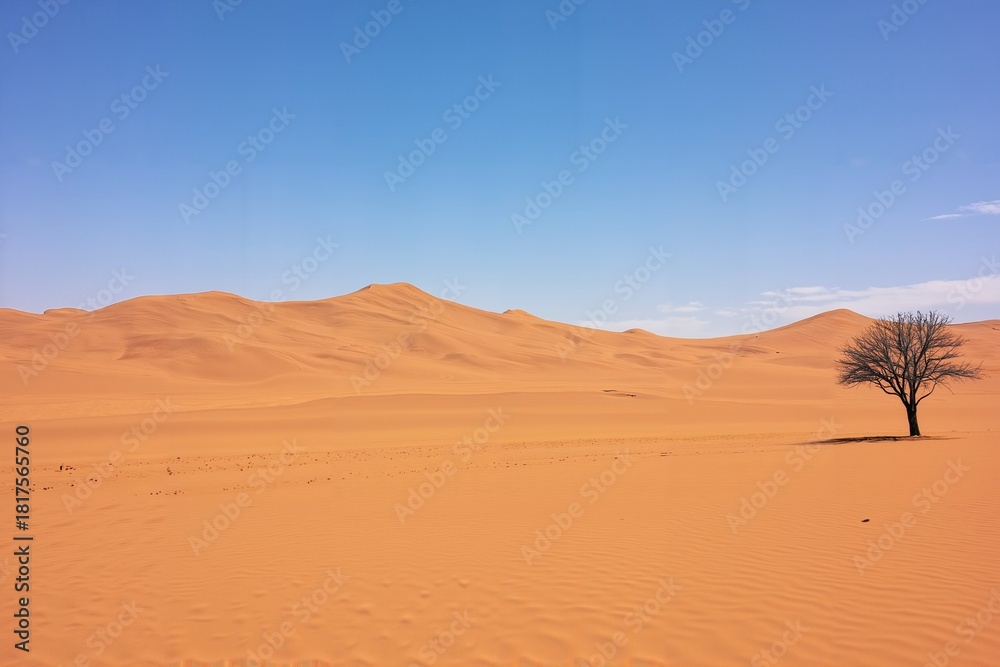 Fototapeta premium Desert Dune Horizons 