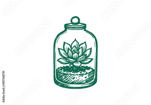 Succulent Rosette hand drawn simple sketch vector illustration