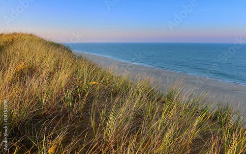 The Cape Cod National Seashore at Sunset with Golden Beach Grass