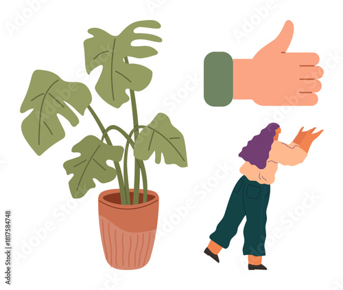 Potted green plant, hand showing thumbs up, person carrying an orange cat while walking. Ideal for nature, positivity, pet care, lifestyle, self-expression home decor and kindness themes. A simple