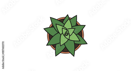 succulent plant in pot an aerial shot showing an echeveria in a terracotta pot ideal as a desktop element bringing calmness and zen vibes