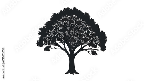 Vector illustration of silhouette of a deciduous tree with full foliage, isolated on transparent background 