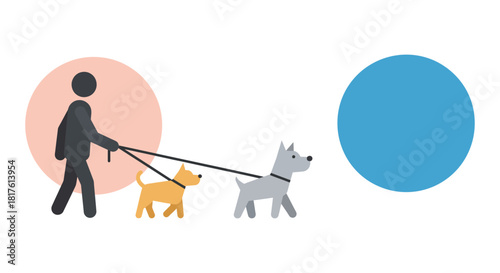 dog walking a person walks two dogs a golden and grey on leashes strolling in the park ideal for pet care and companionship concepts.