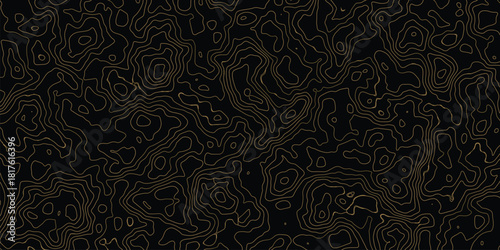 Topographic Map with Intricate Gold Lines on a Deep Black Background, Revealing Hidden Terrain Pattern For Design And Decoration.