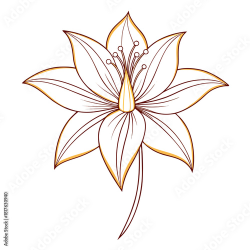 erythronium albidum line art vector on white