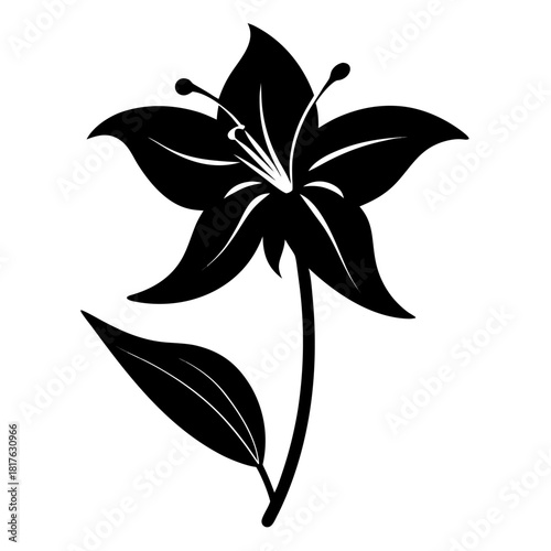 silhouette of a erythronium albidum flower vector