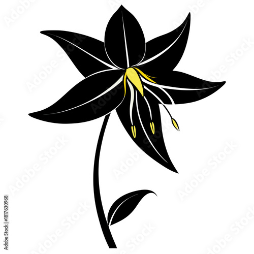 erythronium-albidum silhouette 