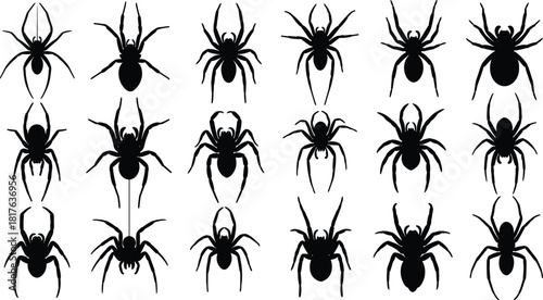 Silhouette collection of diverse spider figures in various poses, detailed vector arachnid icons perfect for Halloween designs, nature illustrations, and creepy themed graphics