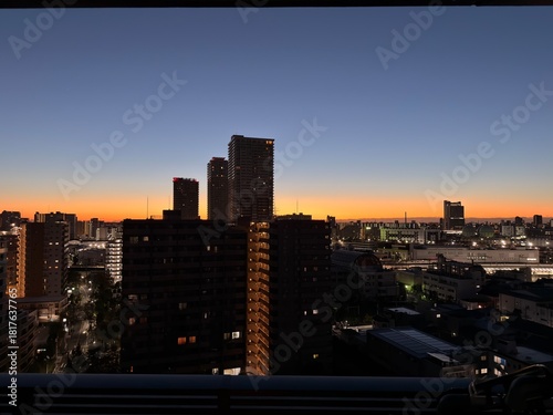 Canvas Print Sunrise in Tokyo Japan