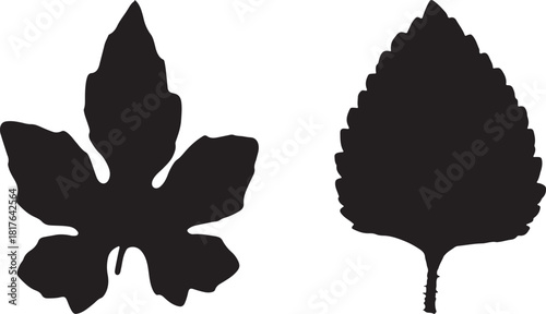 Abstract with subtle textures creating a sense of depth and mystery perfect for modern design projects and artistic presentations