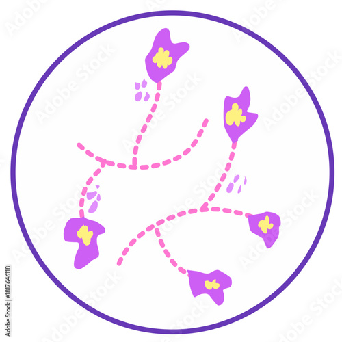 Candida albicans illustration