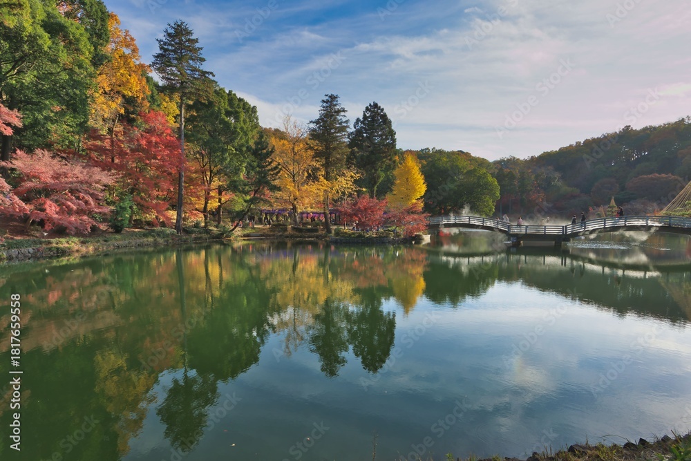 Fototapeta premium 池のある公園