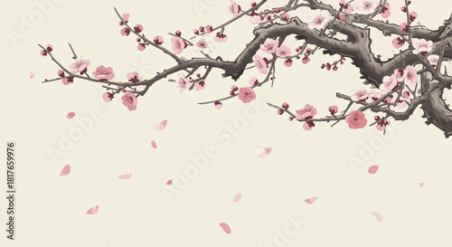 cherry blossom sakura