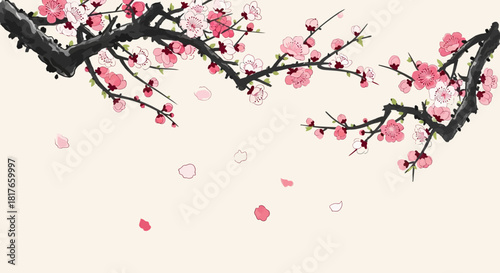 cherry blossom branch