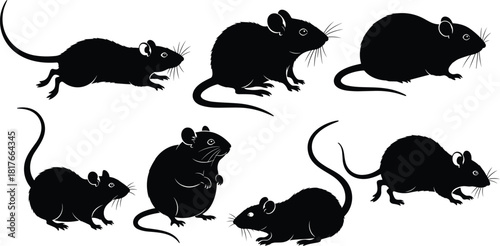 Black Mouse and Rat Silhouette Vector Set, Rodent Poses Collection for Pest Control, Animal Research, Veterinary Clinic, or Nature Logo and Icon Design.