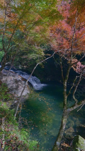 「もみじ街道」沿いの紅葉
保殿の七滝　秋の風景
（日本・愛知県豊田市野原町）
