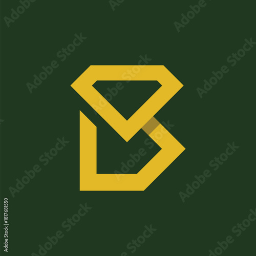 Letter B Diamond Identity Logo
