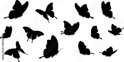 halloween bat and bats
