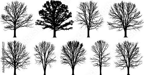 set of bush grass shrub herb silhouette vector transparent background eps 10
