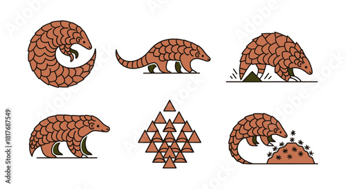 Pangolin in various poses and actions, including curled up, walking, digging, and eating ants.
