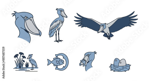 Shoebill Stork Bird Collection.
