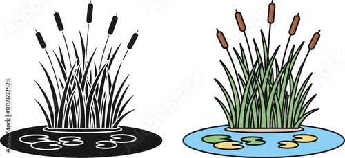 Illustration depicting cattails and reeds in color and monochrome styles