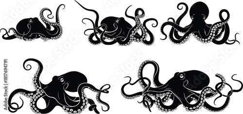 Collection of Black Octopus Silhouettes with Detailed Suction Cups and Curled Tentacles Vector Illustration Set for Marine Design