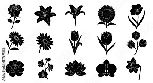 Diverse floral silhouettes collection showcasing various botanical species in bold monochrome style