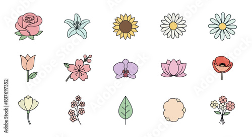 Illustration set featuring variety of flowers including rose, lily, sunflower, tulip, and others