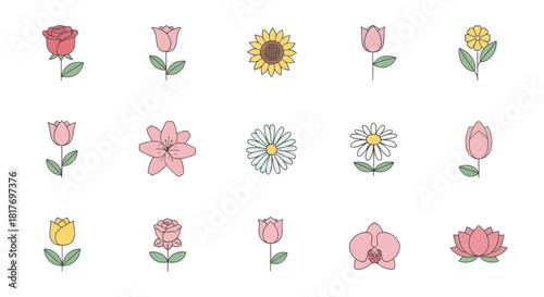 Delicate Floral Set with Roses Tulips Sunflowers Daisies Lily Orchid and Lotus Artwork