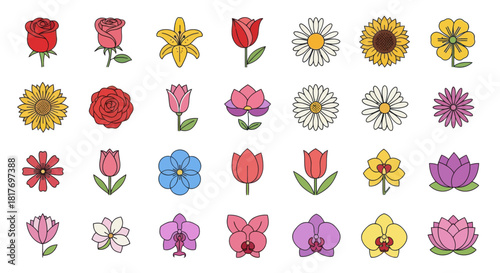 Diverse floral collection featuring roses, tulips, sunflowers, daisies and more in vibrant colors