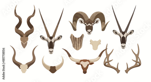 Diverse antelope and bovine animal horn set showcasing wildlife illustrations style