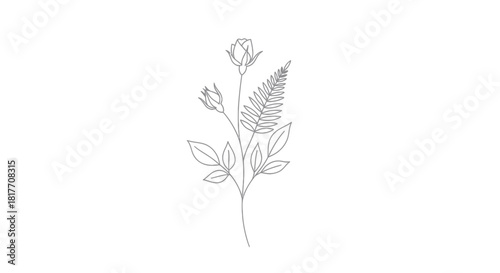 Elegant line art drawing of a rose with fern leaves on a minimalist white background