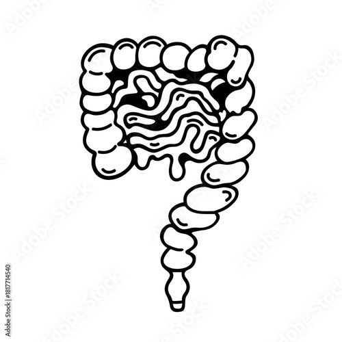 Human digestive system, vector illustration. Large and small intestines. Digestion, absorption of nutrients. Anatomy of internal organs. Hand drawn black and white clipart, isolated doodle. Gut health