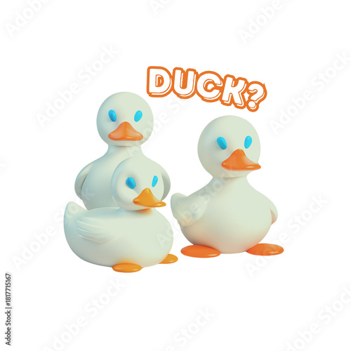 Duck?