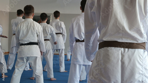 Bilde på lerret giovani karateki sul tatami per una lezione