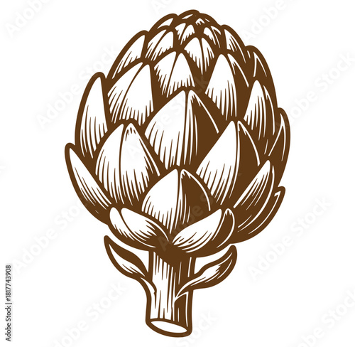 Elegant brown engraved illustration of an artichoke vegetable with detailed foliage