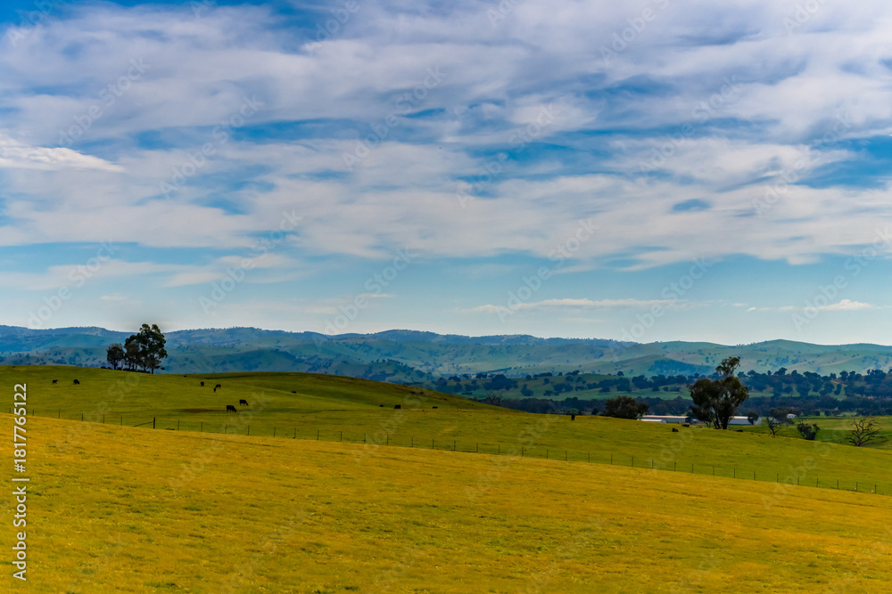 Fototapeta premium Riverina Countryside in Spring – Lush Fields Under Clouded Skies