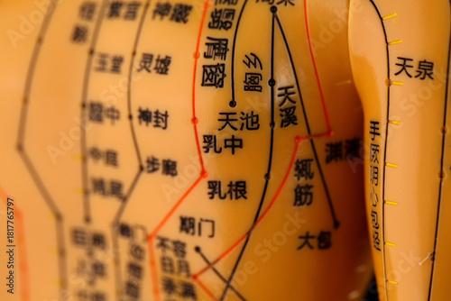 Traditional Chinese Medicine Acupuncture Bronze Model with Meridian Points and Characters